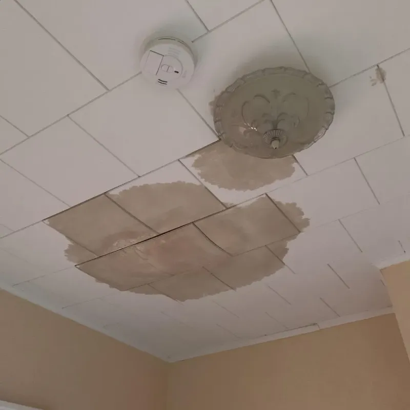 Ceiling Water Damage Repair in Lennox, SD