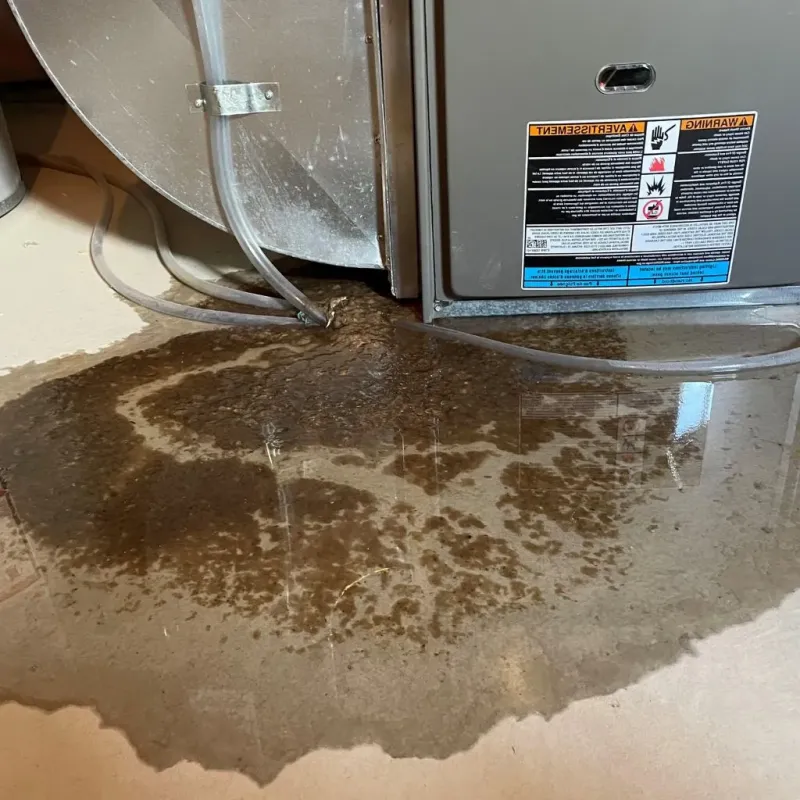 Pipe Burst and Leak Restoration in Lennox, SD
