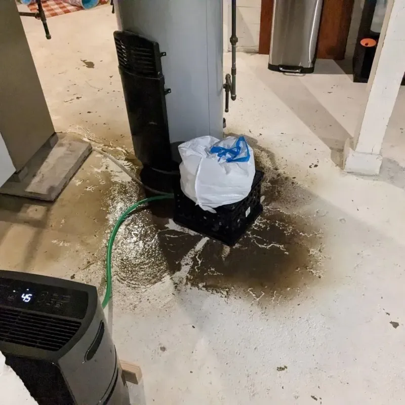 Sewage Backup Cleanup Service in Lennox, SD